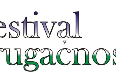 Ozaveščevalna akcija na Festivalu drugačnosti v Slovenj Gradcu