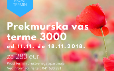Prosti termin